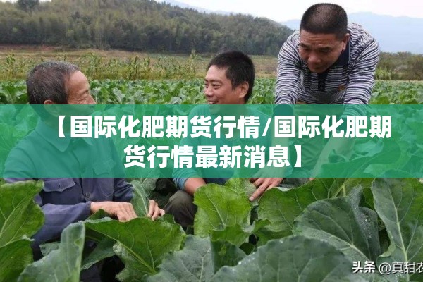 【国际化肥期货行情/国际化肥期货行情最新消息】