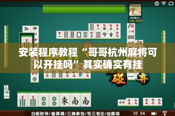 安装程序教程“哥哥杭州麻将可以开挂吗”其实确实有挂