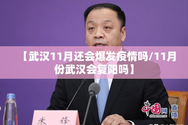 【武汉11月还会爆发疫情吗/11月份武汉会复阳吗】