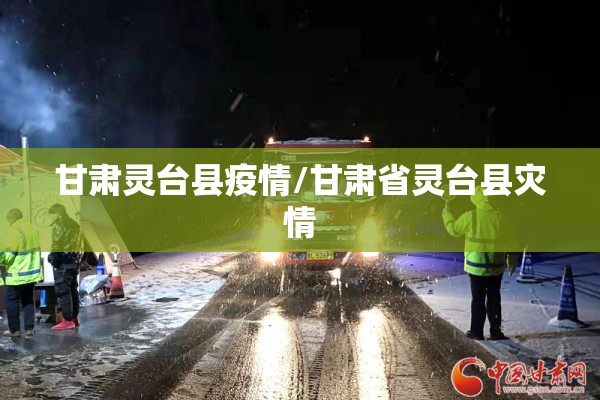 甘肃灵台县疫情/甘肃省灵台县灾情