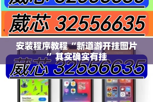 安装程序教程“新道游开挂图片	”其实确实有挂
