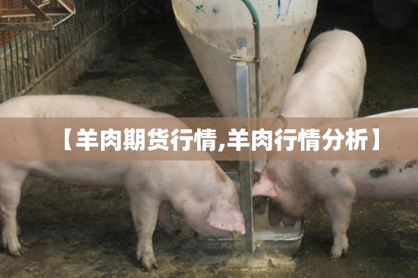 【羊肉期货行情,羊肉行情分析】