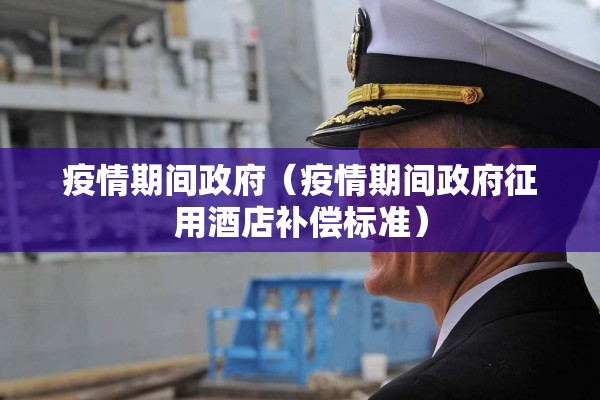 疫情期间政府（疫情期间政府征用酒店补偿标准）