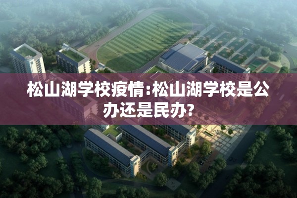 松山湖学校疫情:松山湖学校是公办还是民办?