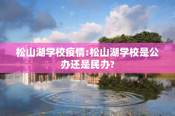 松山湖学校疫情:松山湖学校是公办还是民办?