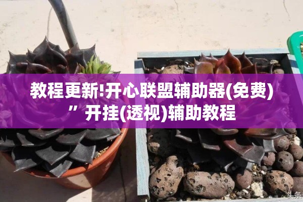 教程更新!开心联盟辅助器(免费)”开挂(透视)辅助教程