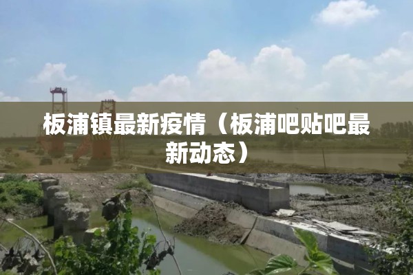 板浦镇最新疫情（板浦吧贴吧最新动态）
