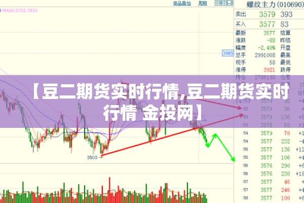 【豆二期货实时行情,豆二期货实时行情 金投网】