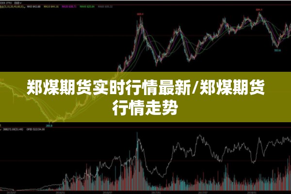 郑煤期货实时行情最新/郑煤期货行情走势