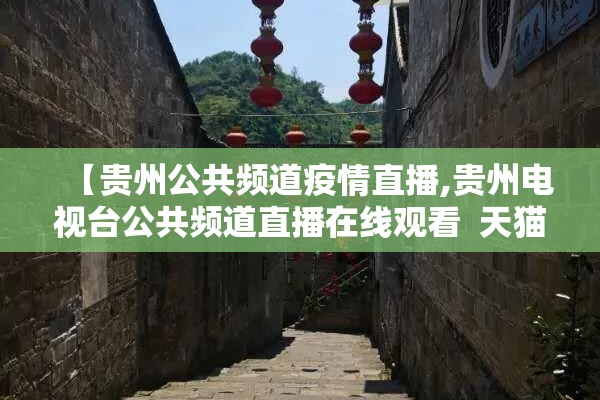 【贵州公共频道疫情直播,贵州电视台公共频道直播在线观看  天猫tv】