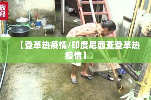 【登革热疫情/印度尼西亚登革热疫情】