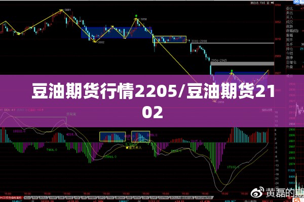 豆油期货行情2205/豆油期货2102