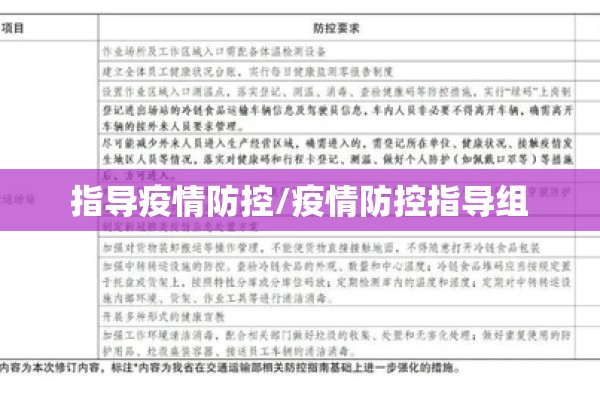 指导疫情防控/疫情防控指导组