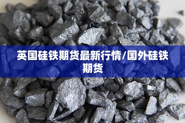 英国硅铁期货最新行情/国外硅铁期货
