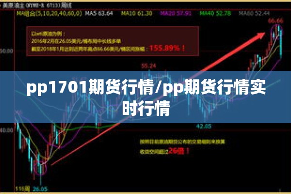 pp1701期货行情/pp期货行情实时行情