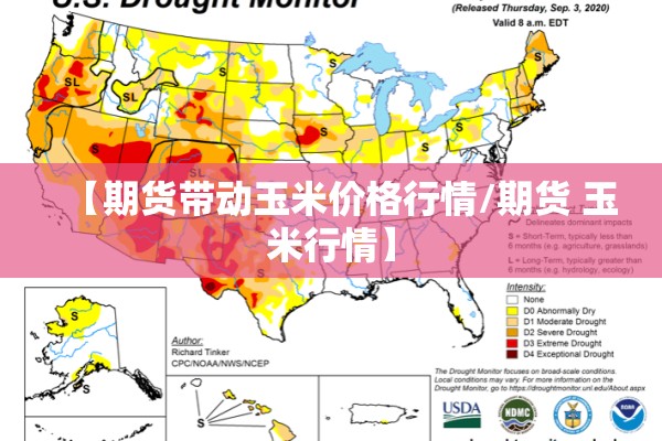 【期货带动玉米价格行情/期货 玉米行情】