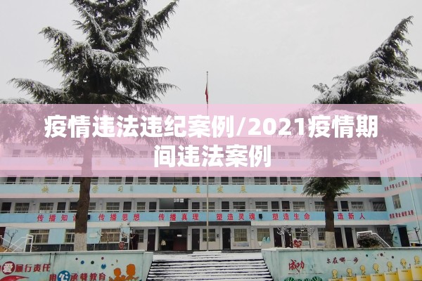 疫情违法违纪案例/2021疫情期间违法案例