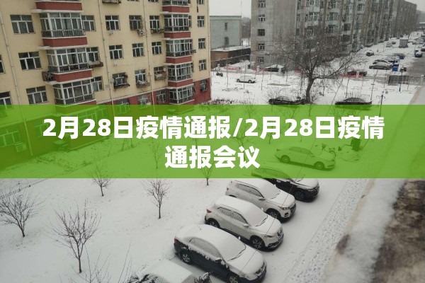 2月28日疫情通报/2月28日疫情通报会议