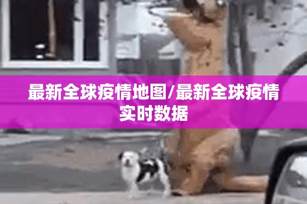 最新全球疫情地图/最新全球疫情实时数据