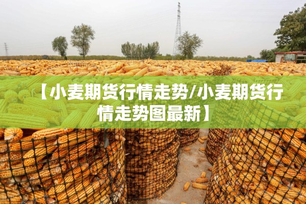 【小麦期货行情走势/小麦期货行情走势图最新】