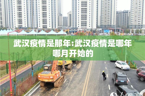 武汉疫情是那年:武汉疫情是哪年哪月开始的