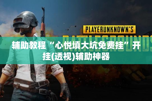 辅助教程“心悦填大坑免费挂	”开挂(透视)辅助神器