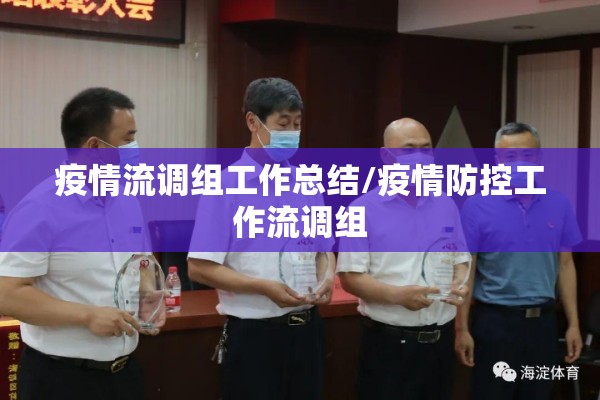 疫情流调组工作总结/疫情防控工作流调组