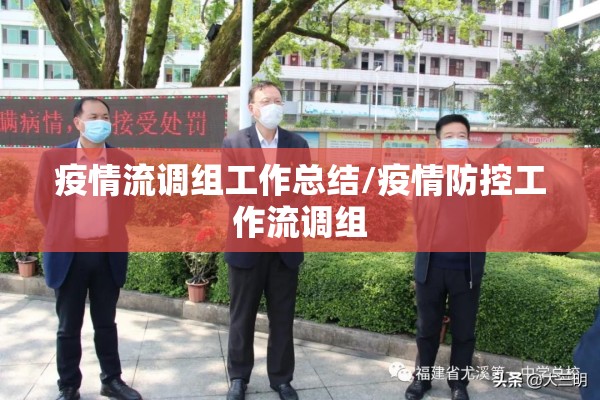 疫情流调组工作总结/疫情防控工作流调组