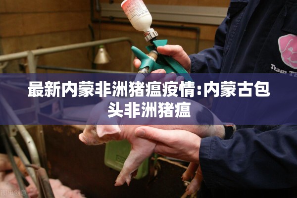 最新内蒙非洲猪瘟疫情:内蒙古包头非洲猪瘟