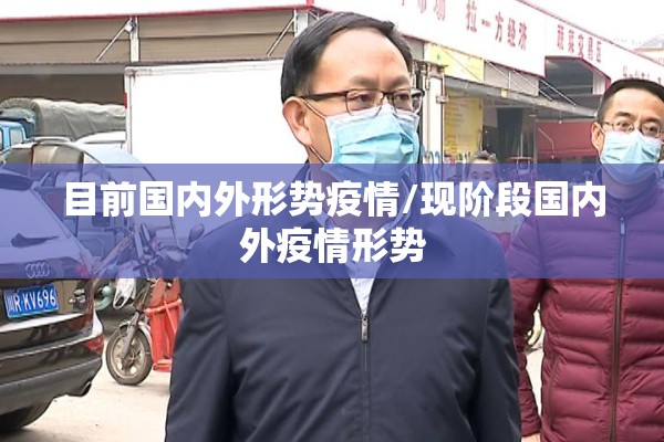 目前国内外形势疫情/现阶段国内外疫情形势