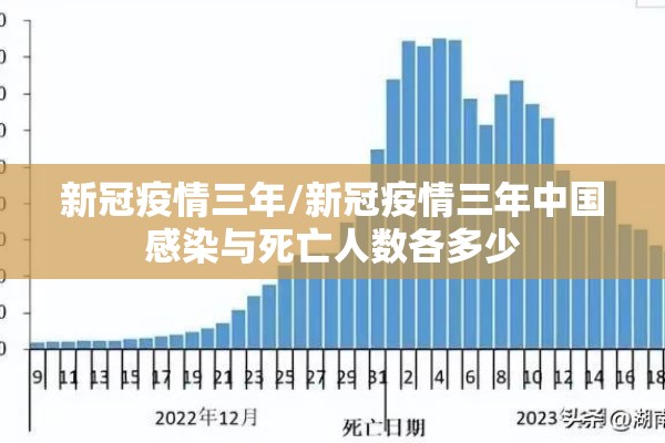 新冠疫情三年/新冠疫情三年中国感染与死亡人数各多少