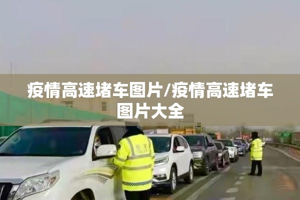 疫情高速堵车图片/疫情高速堵车图片大全