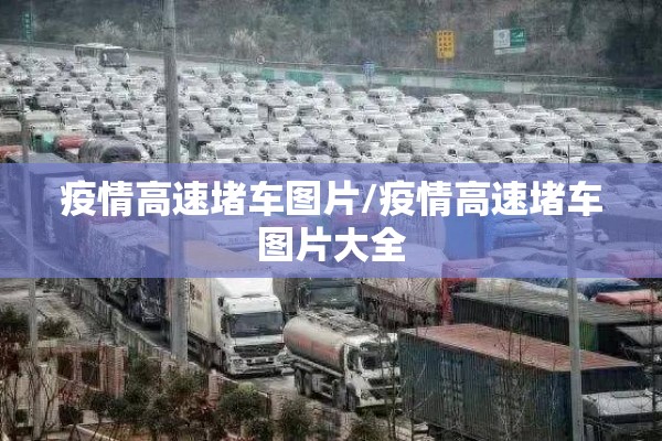 疫情高速堵车图片/疫情高速堵车图片大全