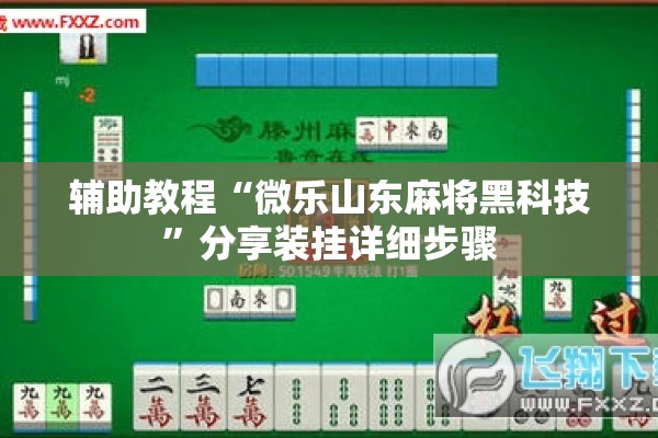 辅助教程“微乐山东麻将黑科技”分享装挂详细步骤