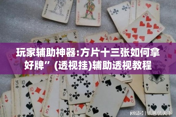 玩家辅助神器:方片十三张如何拿好牌	”(透视挂)辅助透视教程
