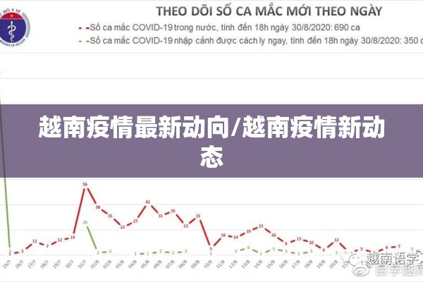 越南疫情最新动向/越南疫情新动态