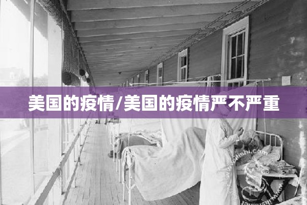 美国的疫情/美国的疫情严不严重