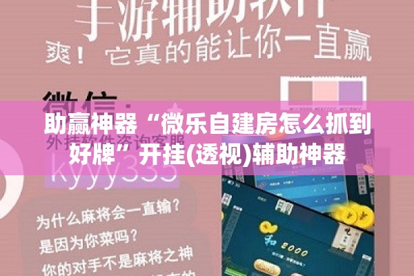助赢神器“微乐自建房怎么抓到好牌	”开挂(透视)辅助神器