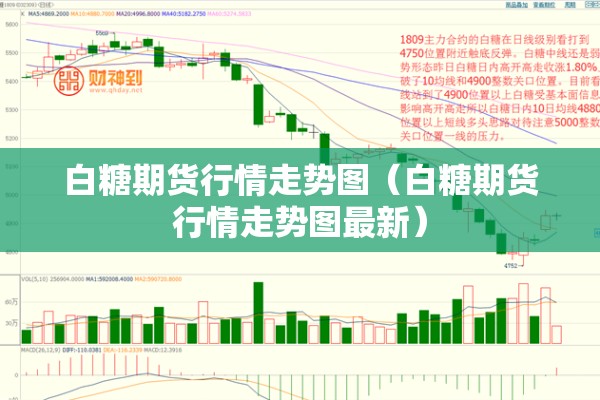 白糖期货行情走势图（白糖期货行情走势图最新）