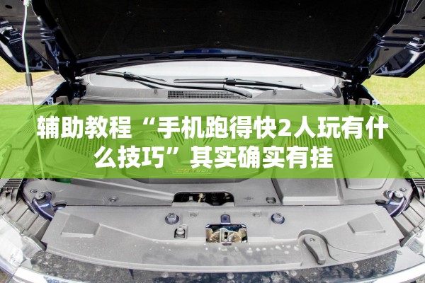 辅助教程“手机跑得快2人玩有什么技巧”其实确实有挂