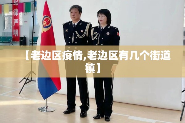 【老边区疫情,老边区有几个街道镇】
