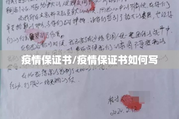疫情保证书/疫情保证书如何写