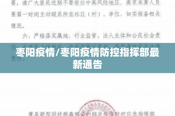 枣阳疫情/枣阳疫情防控指挥部最新通告