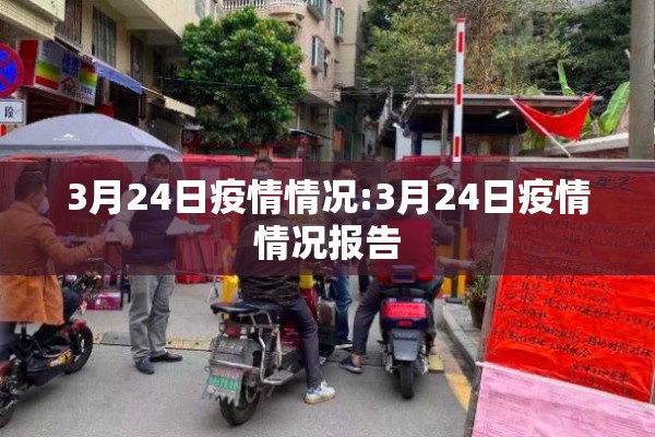 3月24日疫情情况:3月24日疫情情况报告