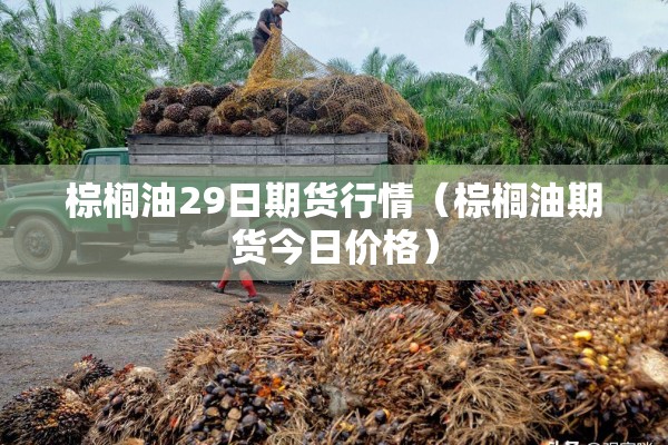 棕榈油29日期货行情（棕榈油期货今日价格）