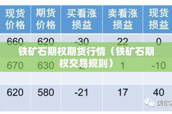铁矿石期权期货行情（铁矿石期权交易规则）