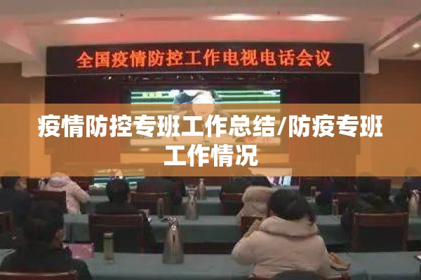 疫情防控专班工作总结/防疫专班工作情况