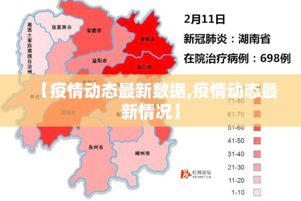 【疫情动态最新数据,疫情动态最新情况】