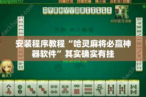 安装程序教程“哈灵麻将必赢神器软件	”其实确实有挂