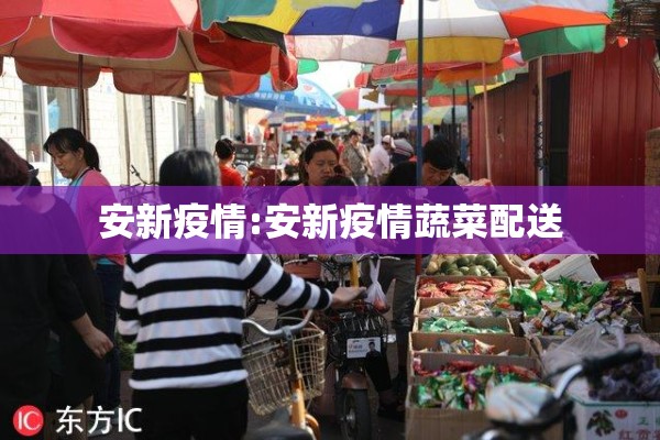 安新疫情:安新疫情蔬菜配送